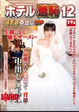 Mosaic NHDTB-950 Hotel Molester 12 NTR Creampie Special